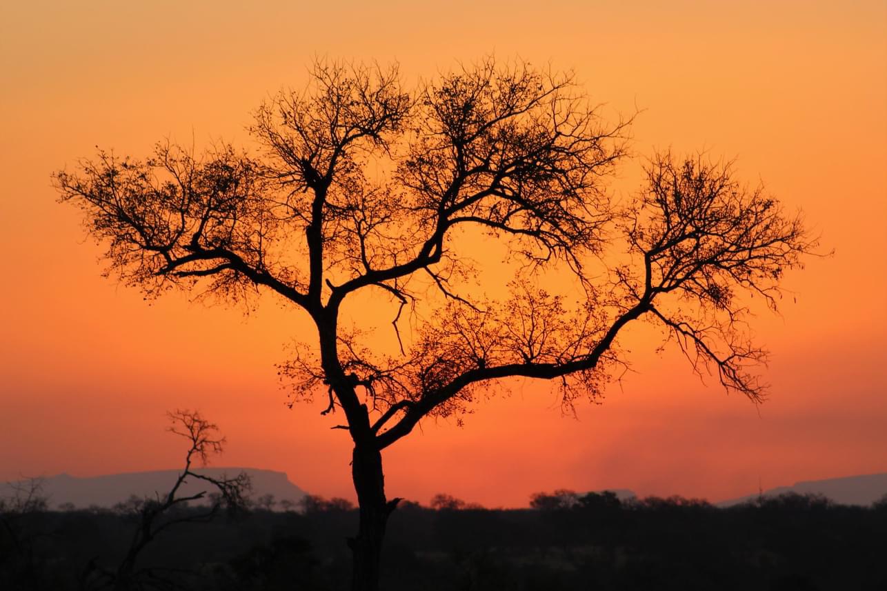African sunset